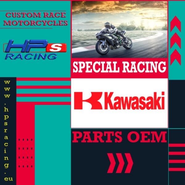 Kawasaki Moto