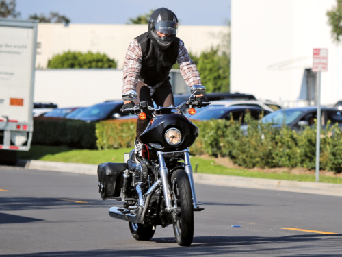 CUPOLINI BURLY BRAND