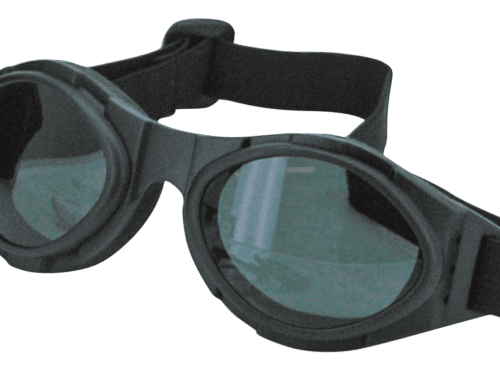 OCCHIALI BOBSTER BUGEYE II