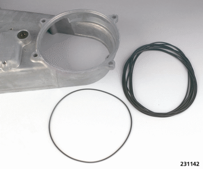 GUARNIZIONI, O-RING E PARAOLI PER INDIAN CON MOTORI POWERPLUS