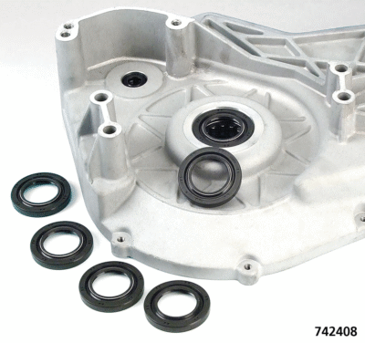 GUARNIZIONI, O-RING E PARAOLI PER INDIAN CON MOTORI POWERPLUS