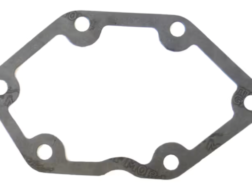 GUARNIZIONI, PARAOLI E O-RING PER BIG TWIN 5 MARCE