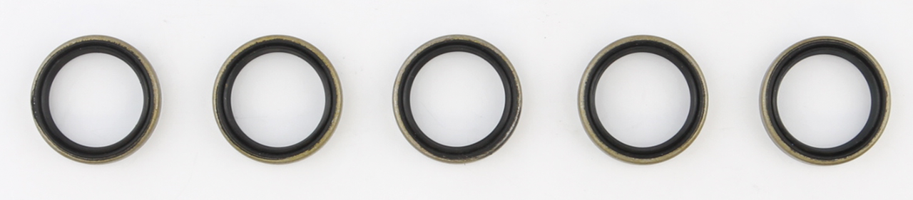 GUARNIZIONI, PARAOLI E O-RING PER BIG TWIN 5 MARCE | 1 GUARNIZIONI, PARAOLI E O-RING PER BIG TWIN 5 MARCE