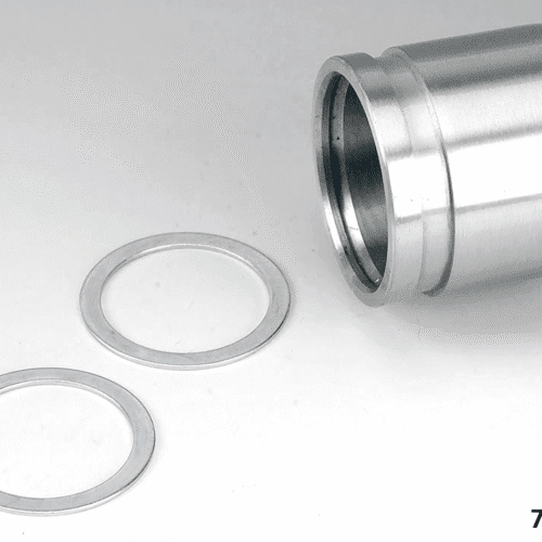 PARAOLI E RONDELLE FORCELLA