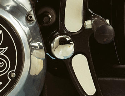 COPERCHI PERNO FORCELLONE OSCILLANTE PER SOFTAIL EVOLUTION