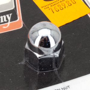 DADI CROMATI ACORN CON TESTA TONDA DA COLONY