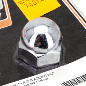 DADI CROMATI ACORN CON TESTA TONDA DA COLONY