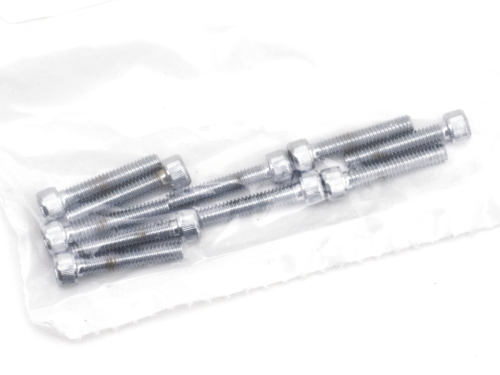 ASSORTIMENTO VITI A BRUGOLA CROMATE