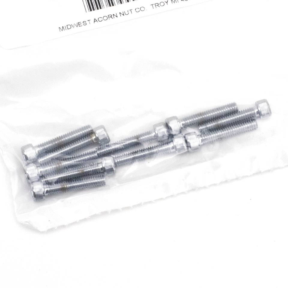 ASSORTIMENTO VITI A BRUGOLA CROMATE | 1 ASSORTIMENTO VITI A BRUGOLA CROMATE