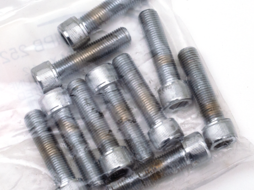 ASSORTIMENTO VITI A BRUGOLA CROMATE (1)