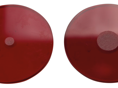 FANALE POSTERIORE SAMWEL PER WLC 1942