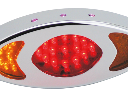 FANALE POSTERIORE CATEYE CON FRECCE INTEGRATE