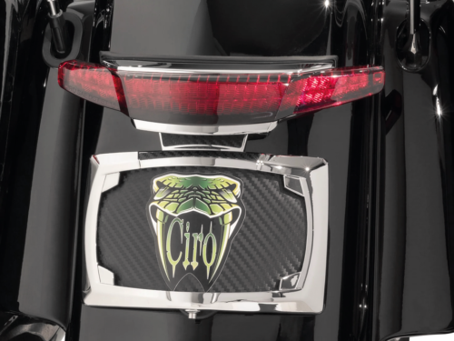 FANALE POSTERIORE E PORTATARGA CIRO PER TOURING