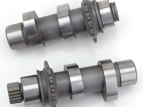 CAMME ANDREWS PER MODELLI