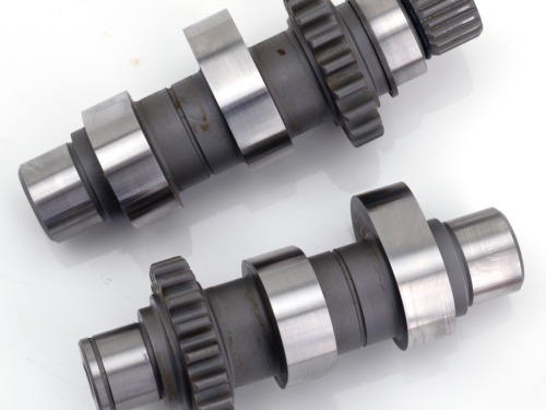 CAMME ANDREWS PER MODELLI