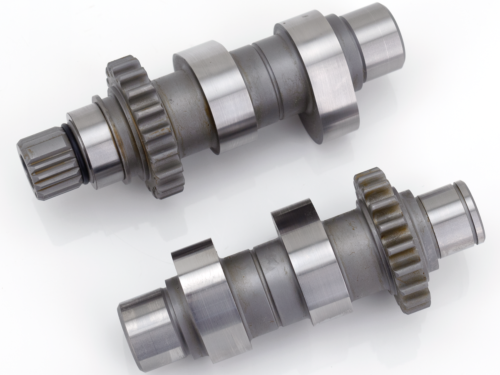 CAMME ANDREWS PER MODELLI