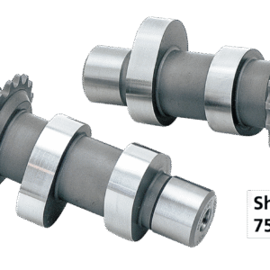 KIT DI CONVERSIONE ROLLER CHAIN PER TWIN CAM 1999-2006 DA ANDRWES