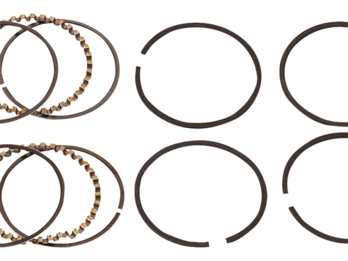 SET DI FASCE ELASTICHE HASTINGS