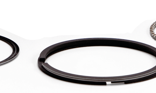 SET DI FASCE ELASTICHE HASTINGS