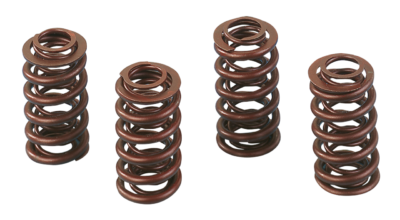 MOLLE VALVOLE ANDREWS