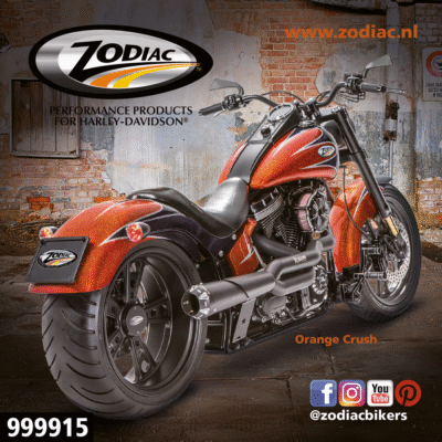 ADESIVI SHOW BIKE ZODIAC