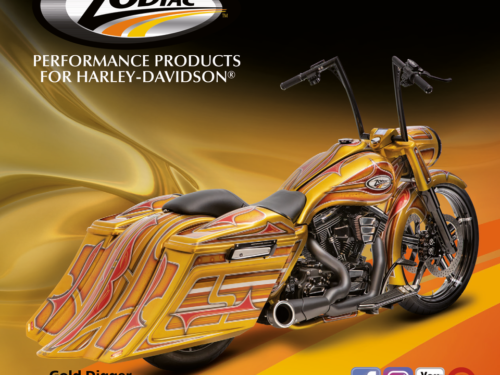 ADESIVI SHOW BIKE ZODIAC