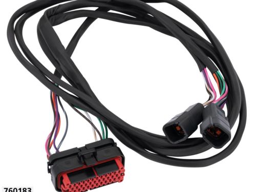 CABLAGGIO ALTOPARLANTI POSTERIORI NAMZ