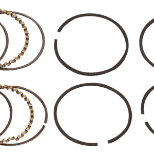 SET DI FASCE ELASTICHE HASTINGS