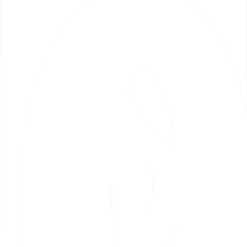 PNEUMATICI ROADRUNNER AM 20 ANTERIORE ED AM 21 POSTERIORE