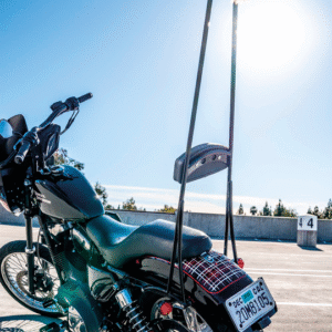SISSY BAR STUPID TALL BURLY BRAND