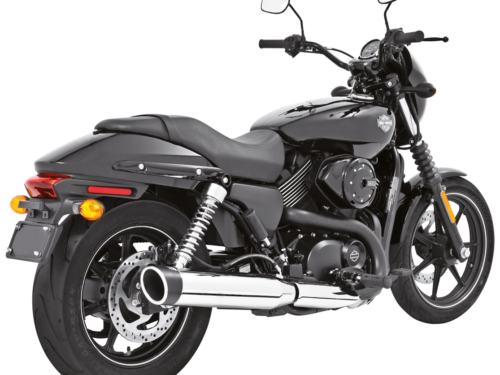 TERMINALI RACING (1)