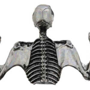 ORNAMENTO PER VISIERA DEL FARO CON TESCHIO