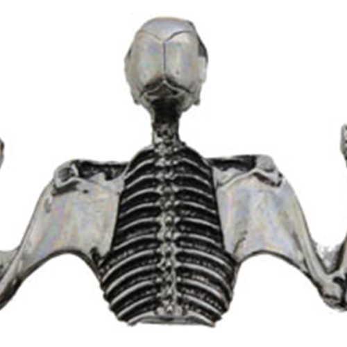 ORNAMENTO PER VISIERA DEL FARO CON TESCHIO