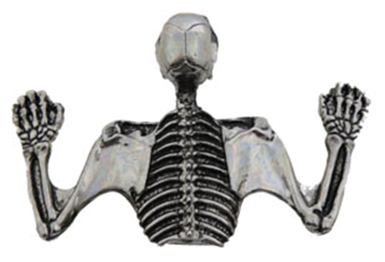 ORNAMENTO PER VISIERA DEL FARO CON TESCHIO | 1 ORNAMENTO PER VISIERA DEL FARO CON TESCHIO