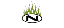 Namz Logo