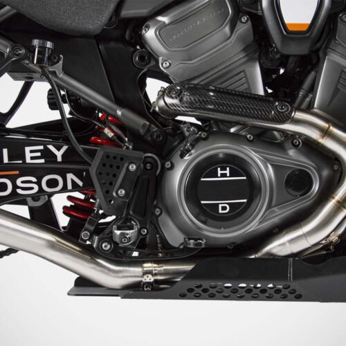 PAN AMERICA 1250 | DECATALIZZATORE (20-25)