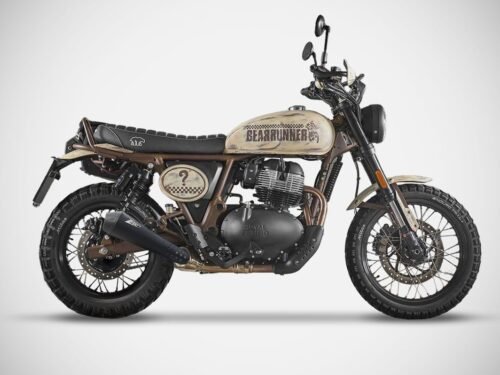 SCARICO BEAR | SLIP-ON (2025)