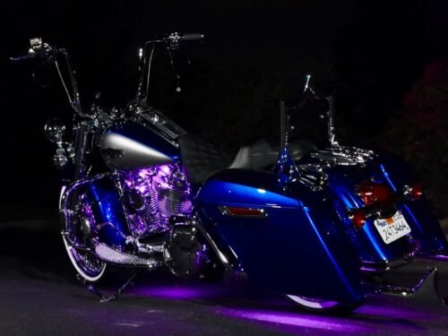 HOGWORKZ® LED Motorcycle Underglow Accent Lighting | 12 Strip Kit