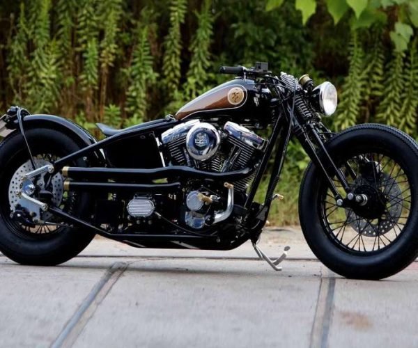 Custom bike