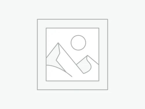 04+ SPORTSTER MUSTACHE ENGINE GUARD / BLACK